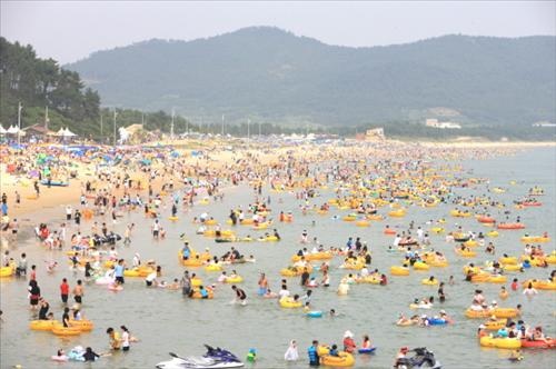 첨부이미지