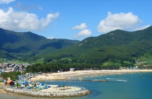 첨부이미지