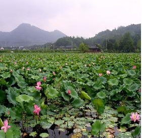 첨부이미지