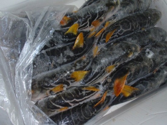첨부이미지