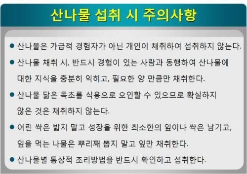 첨부이미지
