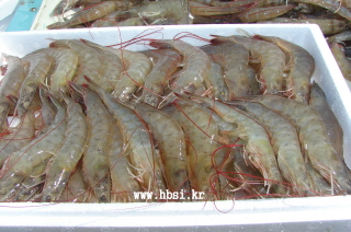 첨부이미지