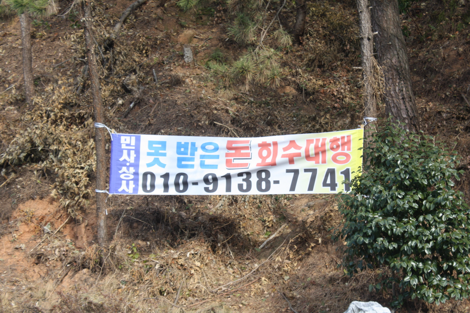 첨부이미지