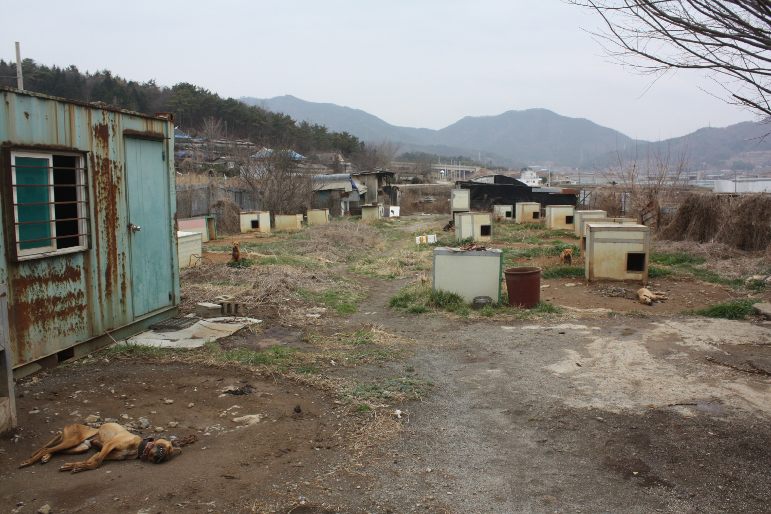 첨부이미지