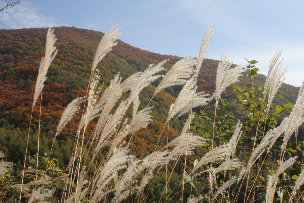 첨부이미지