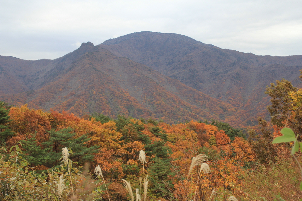 첨부이미지